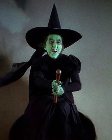 High Quality Wicked Witch on Broom Blank Meme Template