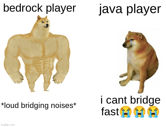 Buff Doge vs. Cheems Meme | bedrock player; java player; *loud bridging noises*; i cant bridge fast😭😭😭 | image tagged in memes,buff doge vs cheems | made w/ Imgflip meme maker