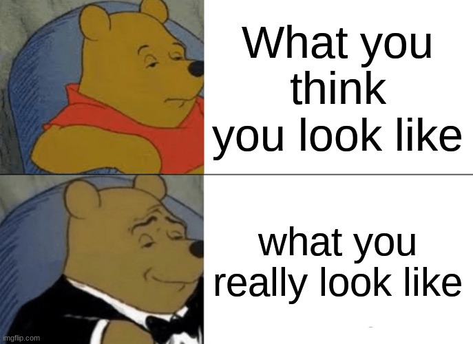 Tuxedo Winnie The Pooh | What you think you look like; what you really look like | image tagged in memes,tuxedo winnie the pooh | made w/ Imgflip meme maker