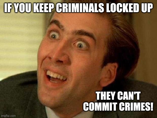 Would slow the crime wave. Democrats should give it a try. | IF YOU KEEP CRIMINALS LOCKED UP; THEY CAN'T COMMIT CRIMES! | image tagged in nicolas cage | made w/ Imgflip meme maker
