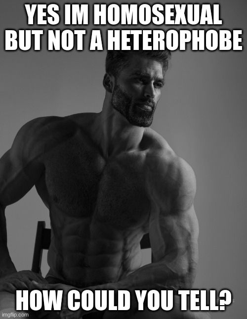 im not gay but im not a homophobe | YES IM HOMOSEXUAL BUT NOT A HETEROPHOBE; HOW COULD YOU TELL? | image tagged in giga chad,lgbtq | made w/ Imgflip meme maker