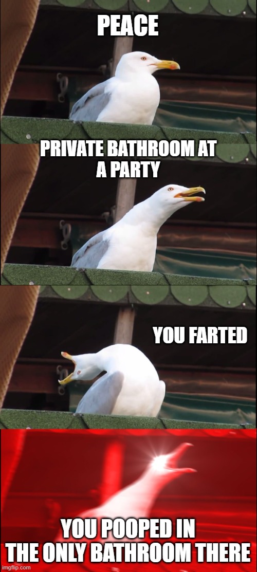 farts | PEACE; PRIVATE BATHROOM AT
A PARTY; YOU FARTED; YOU POOPED IN THE ONLY BATHROOM THERE | image tagged in memes,inhaling seagull | made w/ Imgflip meme maker