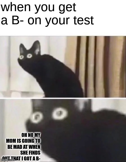 Oh No Black Cat | when you get a B- on your test; OH NO MY MOM IS GOING TO BE MAD AT WHEN SHE FINDS OUT THAT I GOT A B- | image tagged in oh no black cat | made w/ Imgflip meme maker
