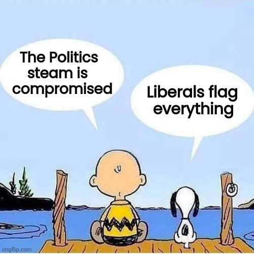 Not sorry for having an opinion | The Politics
     steam is
 compromised; Liberals flag  
everything | image tagged in charlie brown and snoopy bonding talk,unpopular opinion,x x everywhere,excuse me what the heck | made w/ Imgflip meme maker