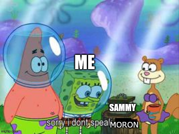 Sorry I don't speak ____ | ME; SAMMY; MORON | image tagged in sorry i don't speak ____ | made w/ Imgflip meme maker