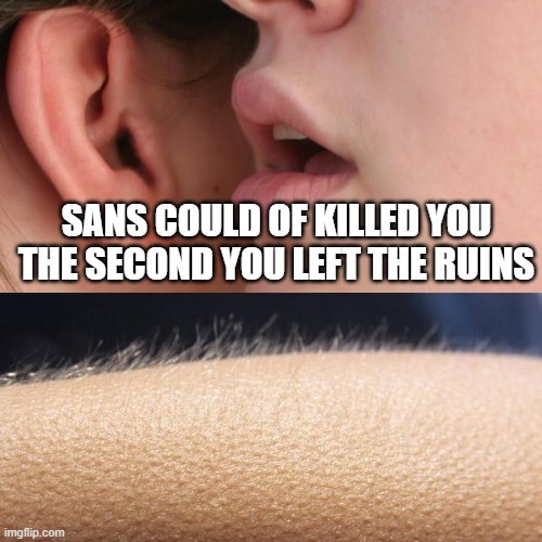 But Toriel said N O | SANS COULD OF KILLED YOU THE SECOND YOU LEFT THE RUINS | image tagged in whisper and goosebumps,undertale,sans undertale,hahaha funni skeleton go brrrr | made w/ Imgflip meme maker