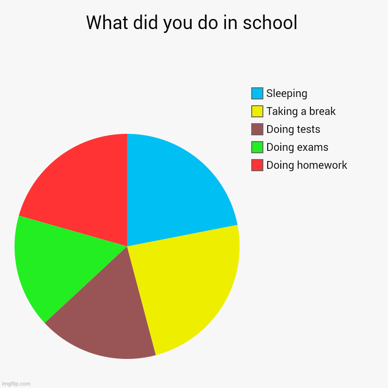 What did you do in school | Doing homework, Doing exams, Doing tests, Taking a break, Sleeping | image tagged in charts,pie charts,school,honework,sleeping,exams | made w/ Imgflip chart maker
