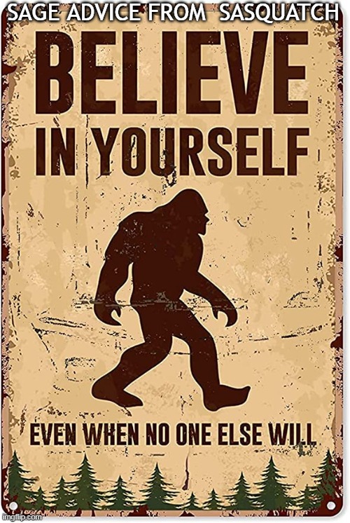 PSA of the Day |  SAGE ADVICE FROM  SASQUATCH | image tagged in fun,funny,signs,imgflip humor,good advice,sasquatch | made w/ Imgflip meme maker