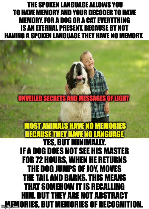 most animals have no memories | THE SPOKEN LANGUAGE ALLOWS YOU TO HAVE MEMORY AND YOUR DECODER TO HAVE MEMORY. FOR A DOG OR A CAT EVERYTHING IS AN ETERNAL PRESENT, BECAUSE BY NOT HAVING A SPOKEN LANGUAGE THEY HAVE NO MEMORY. UNVEILED SECRETS AND MESSAGES OF LIGHT; YES, BUT MINIMALLY. IF A DOG DOES NOT SEE HIS MASTER FOR 72 HOURS, WHEN HE RETURNS THE DOG JUMPS OF JOY, MOVES THE TAIL AND BARKS. THIS MEANS THAT SOMEHOW IT IS RECALLING HIM. BUT THEY ARE NOT ABSTRACT MEMORIES, BUT MEMORIES OF RECOGNITION. MOST ANIMALS HAVE NO MEMORIES BECAUSE THEY HAVE NO LANGUAGE | image tagged in animals | made w/ Imgflip meme maker