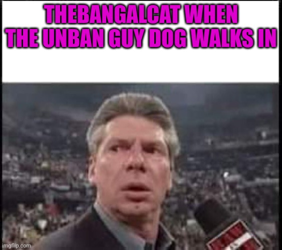 No this is not ok | THEBANGALCAT WHEN THE UNBAN GUY DOG WALKS IN | image tagged in when someone walks in,no,stop it get some help | made w/ Imgflip meme maker