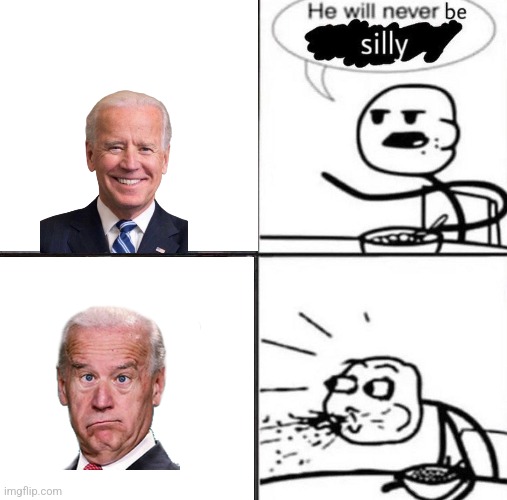 He will never be silly blank | image tagged in he will never be silly blank | made w/ Imgflip meme maker