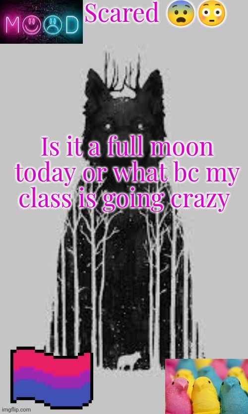 Y'all I'm scared | Scared 😨😳; Is it a full moon today or what bc my class is going crazy | image tagged in puppymavrelgirlwolf announcement template | made w/ Imgflip meme maker