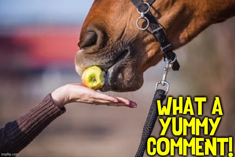 WHAT A
YUMMY
COMMENT! | made w/ Imgflip meme maker