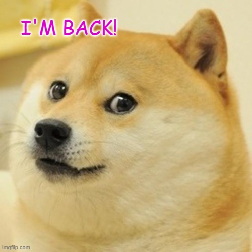 I'm Back! | I'M BACK! | image tagged in memes,doge | made w/ Imgflip meme maker