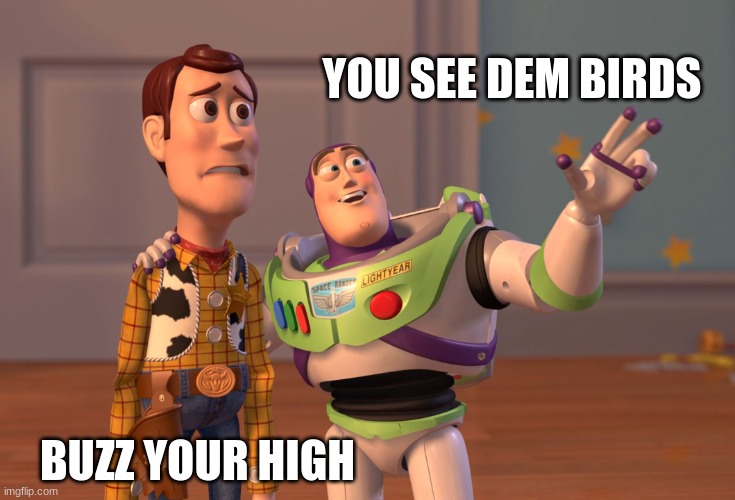 X, X Everywhere | YOU SEE DEM BIRDS; BUZZ YOUR HIGH | image tagged in memes,x x everywhere | made w/ Imgflip meme maker