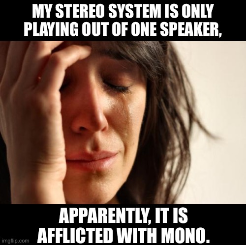 Stereo | MY STEREO SYSTEM IS ONLY PLAYING OUT OF ONE SPEAKER, APPARENTLY, IT IS AFFLICTED WITH MONO. | image tagged in memes,first world problems | made w/ Imgflip meme maker