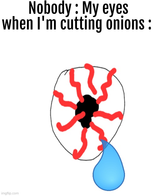 MY EYES | Nobody : My eyes when I'm cutting onions : | image tagged in memes,blank transparent square | made w/ Imgflip meme maker