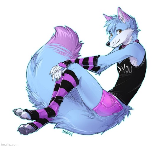 Femboy furry | image tagged in femboy furry | made w/ Imgflip meme maker