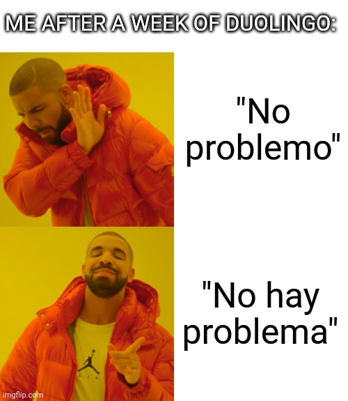 Drake Hotline Bling | ME AFTER A WEEK OF DUOLINGO:; "No problemo"; "No hay problema" | image tagged in memes,drake hotline bling,duolingo | made w/ Imgflip meme maker