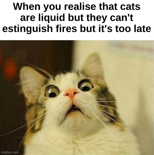 OOPS | When you realise that cats are liquid but they can't estinguish fires but it's too late | image tagged in memes,scared cat | made w/ Imgflip meme maker