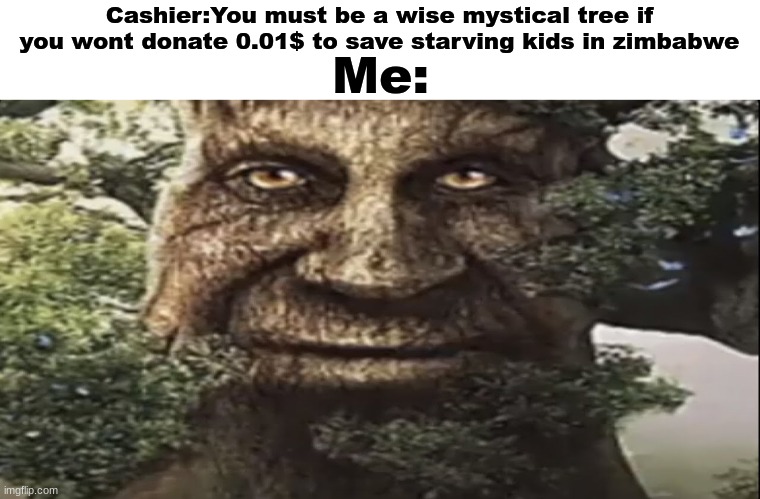 Wise mystical tree | Me:; Cashier:You must be a wise mystical tree if you wont donate 0.01$ to save starving kids in zimbabwe | image tagged in wise mystical tree,funny | made w/ Imgflip meme maker