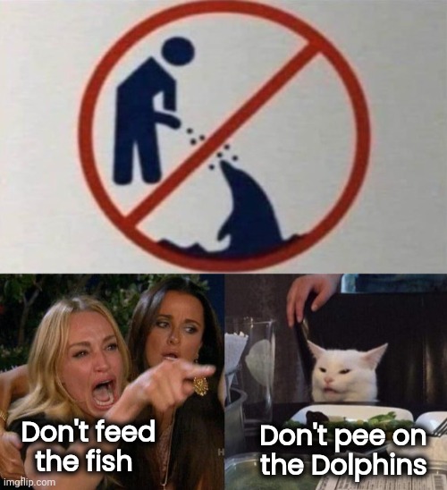 Got thrown out of the Aquarium | Don't feed
   the fish; Don't pee on  
the Dolphins | image tagged in memes,woman yelling at cat,dumb joke dolphin,fishing for upvotes,grumpy cat not amused | made w/ Imgflip meme maker