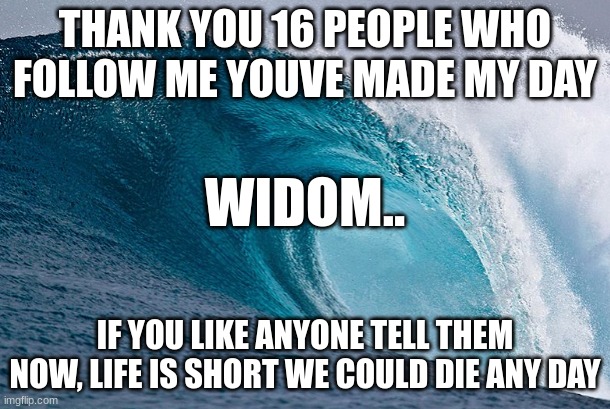 do it | THANK YOU 16 PEOPLE WHO FOLLOW ME YOUVE MADE MY DAY; WIDOM.. IF YOU LIKE ANYONE TELL THEM NOW, LIFE IS SHORT WE COULD DIE ANY DAY | image tagged in do it | made w/ Imgflip meme maker