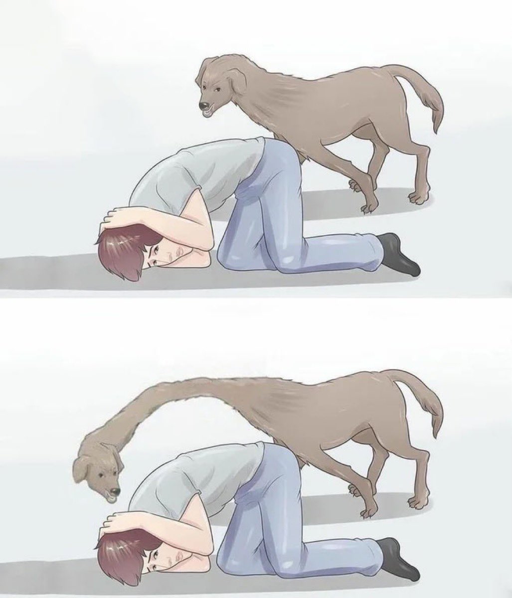 long neck dog wikihow Blank Meme Template