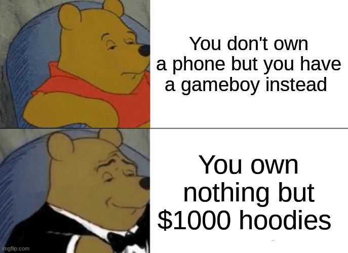 I own a gameboy instead of a phone. | You don't own a phone but you have a gameboy instead; You own nothing but $1000 hoodies | image tagged in memes,tuxedo winnie the pooh | made w/ Imgflip meme maker