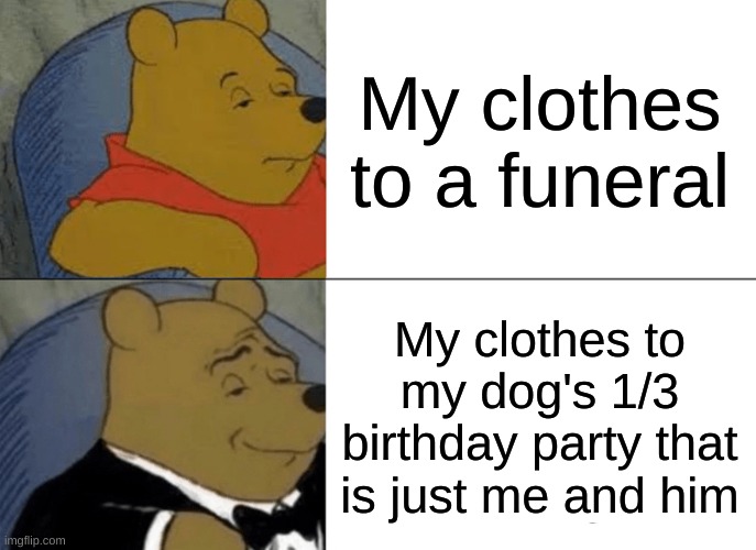 Relatable | My clothes to a funeral; My clothes to my dog's 1/3 birthday party that is just me and him | image tagged in memes,tuxedo winnie the pooh | made w/ Imgflip meme maker
