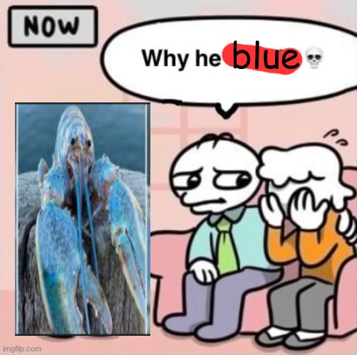 Why he ourple ? | blue | image tagged in why he ourple | made w/ Imgflip meme maker