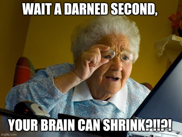 Yeah, it can. | WAIT A DARNED SECOND, YOUR BRAIN CAN SHRINK?!!?! | image tagged in memes,grandma finds the internet | made w/ Imgflip meme maker