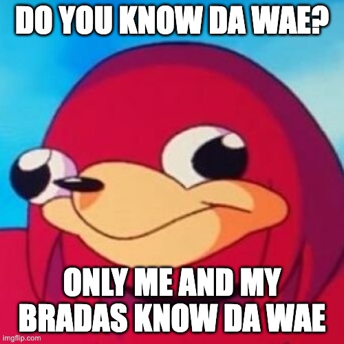 #weird Wednesday | DO YOU KNOW DA WAE? ONLY ME AND MY BRADAS KNOW DA WAE | image tagged in ugandan knuckles,gaming,vr chat,knuckles | made w/ Imgflip meme maker