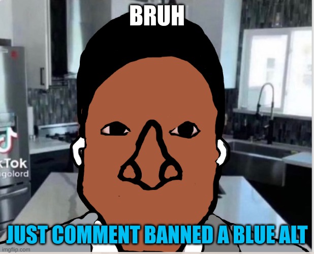 n | BRUH; JUST COMMENT BANNED A BLUE ALT | image tagged in n | made w/ Imgflip meme maker