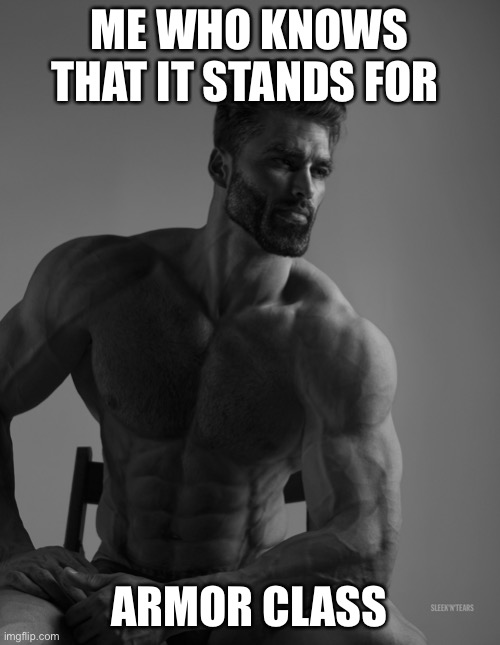 Giga Chad | ME WHO KNOWS THAT IT STANDS FOR ARMOR CLASS | image tagged in giga chad | made w/ Imgflip meme maker