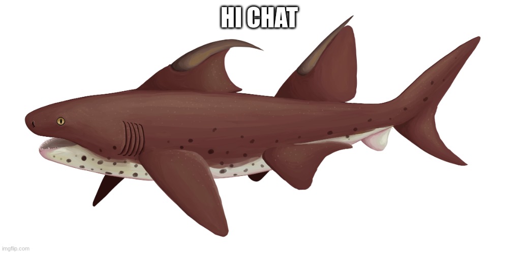 Dracopristis | HI CHAT | image tagged in dracopristis | made w/ Imgflip meme maker