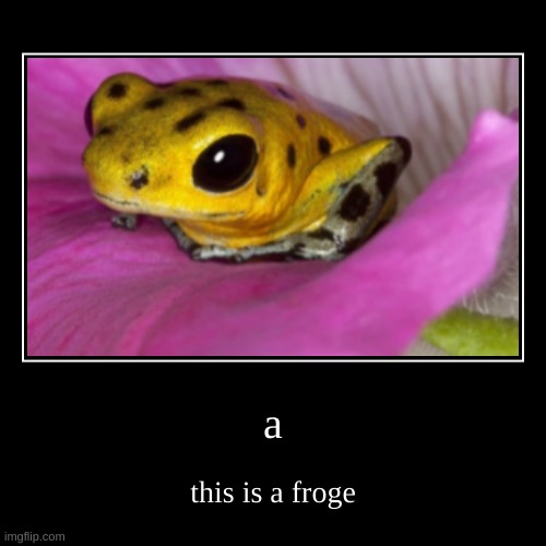 f r o g e | image tagged in funny,demotivationals,frog | made w/ Imgflip demotivational maker
