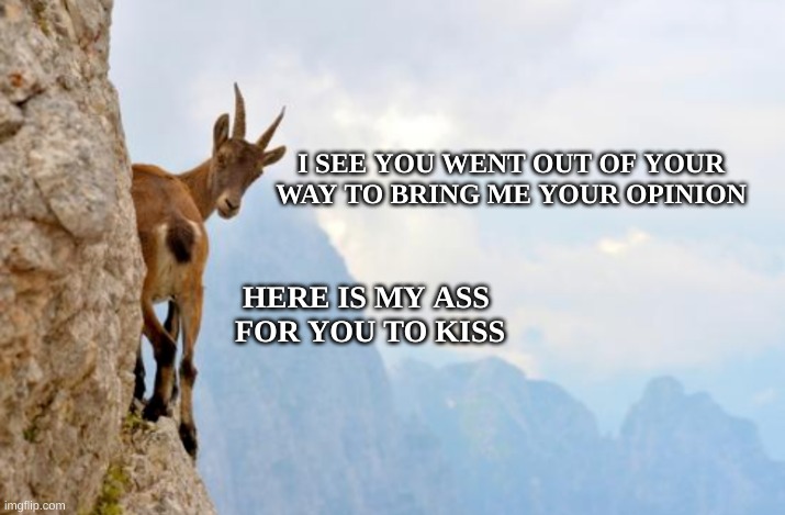 Lick it | I SEE YOU WENT OUT OF YOUR WAY TO BRING ME YOUR OPINION; HERE IS MY ASS
 FOR YOU TO KISS | image tagged in goat,opinions,kiss my ass,lick,pawn stars best i can do,butt | made w/ Imgflip meme maker
