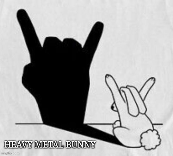 HEAVY METAL BUNNY | image tagged in bunny,action | made w/ Imgflip meme maker