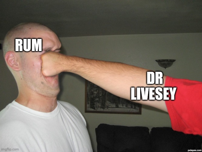 Face punch | RUM; DR LIVESEY | image tagged in face punch | made w/ Imgflip meme maker