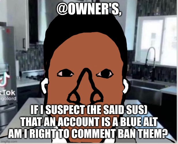n | @OWNER'S, IF I SUSPECT (HE SAID SUS) THAT AN ACCOUNT IS A BLUE ALT AM I RIGHT TO COMMENT BAN THEM? | image tagged in n | made w/ Imgflip meme maker