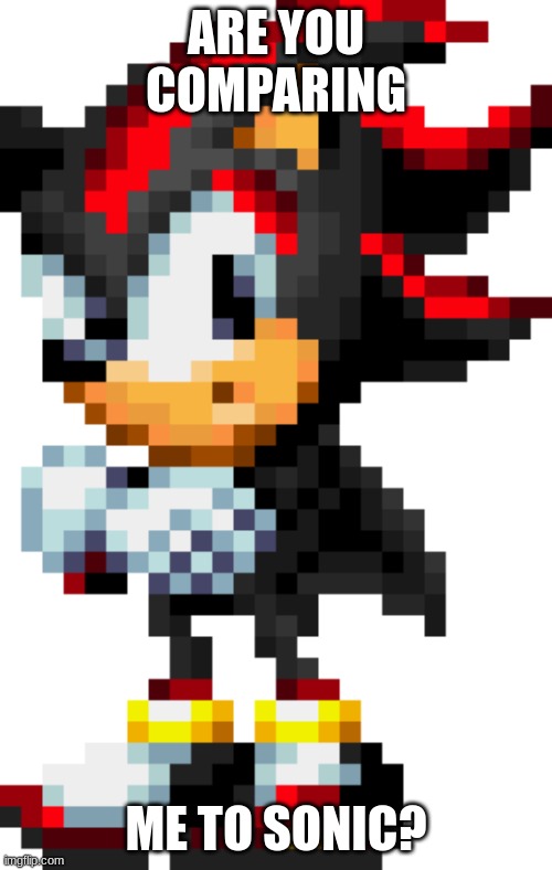 ARE YOU COMPARING; ME TO SONIC? | image tagged in sonic the hedgehog | made w/ Imgflip meme maker