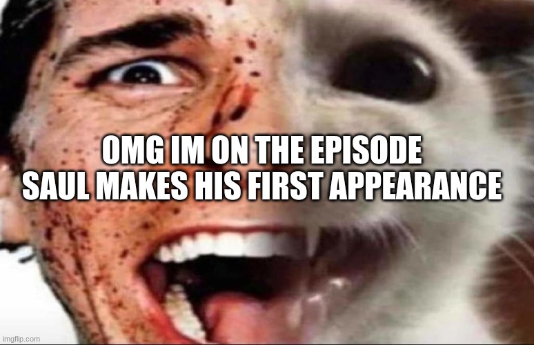 american psycho cat | OMG IM ON THE EPISODE SAUL MAKES HIS FIRST APPEARANCE | image tagged in american psycho cat | made w/ Imgflip meme maker