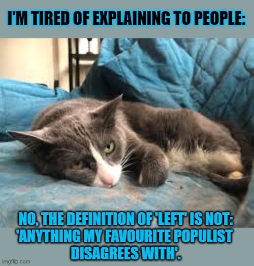 This #lolcat wonders if people know what the definition of 'left' is | I'M TIRED OF EXPLAINING TO PEOPLE:; NO, THE DEFINITION OF 'LEFT' IS NOT:
'ANYTHING MY FAVOURITE POPULIST 
DISAGREES WITH'. | image tagged in definition,logic,left wing,lolcat,think about it | made w/ Imgflip meme maker