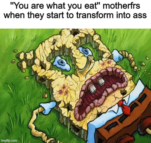 You are what you eat | ''You are what you eat'' motherfrs when they start to transform into ass | image tagged in spongebob dry | made w/ Imgflip meme maker