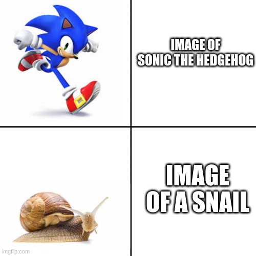 Sonic vs snail | IMAGE OF SONIC THE HEDGEHOG; IMAGE OF A SNAIL | image tagged in sonic vs snail | made w/ Imgflip meme maker