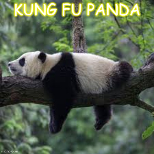 Po |  KUNG FU PANDA | image tagged in panda | made w/ Imgflip meme maker