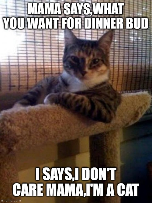 The Most Interesting Cat In The World |  MAMA SAYS,WHAT YOU WANT FOR DINNER BUD; I SAYS,I DON'T CARE MAMA,I'M A CAT | image tagged in memes,the most interesting cat in the world | made w/ Imgflip meme maker