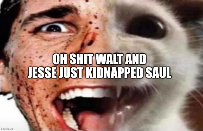 american psycho cat | OH SHIT WALT AND JESSE JUST KIDNAPPED SAUL | image tagged in american psycho cat | made w/ Imgflip meme maker