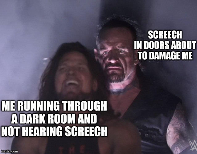 undertaker | SCREECH IN DOORS ABOUT TO DAMAGE ME; ME RUNNING THROUGH A DARK ROOM AND NOT HEARING SCREECH | image tagged in undertaker,roblox doors | made w/ Imgflip meme maker